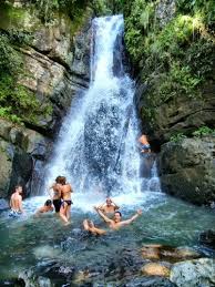 El Yunque Rainforest Tour Price at the Waterfall
