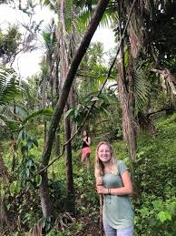 El Yunque Tour Prices in the Rainforest
